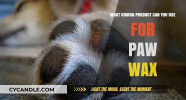 Safe Human Products for Paw Wax: Protecting Your Dog's Paws