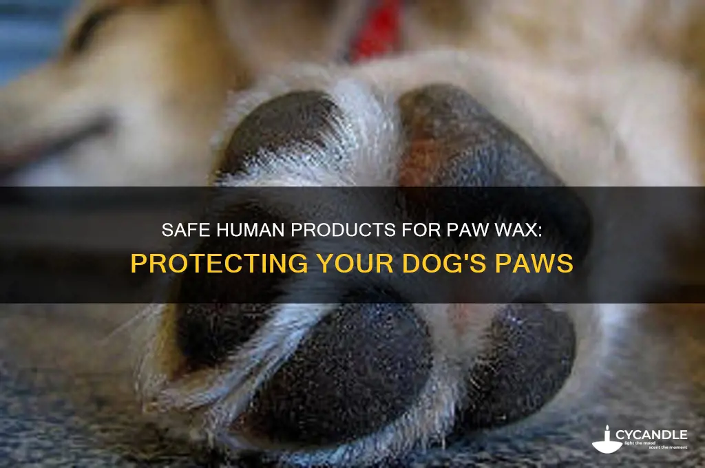 what human product can you use for paw wax