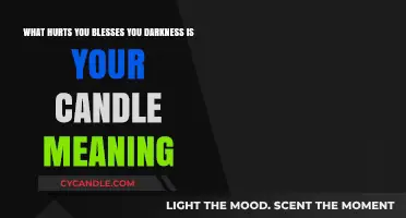 Darkness Illuminates: How Pain and Shadows Bless and Guide Us