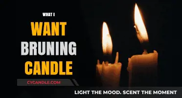 What I Want: The Burning Candle's Meaning and Personal Reflection