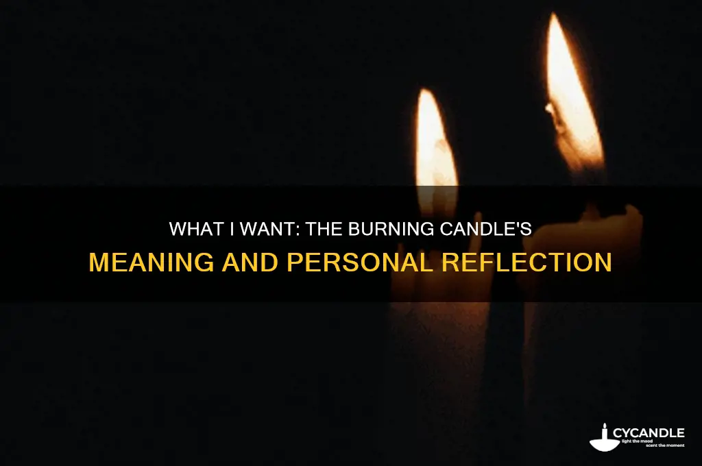 what i want bruning candle