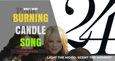 What I Want: Decoding the Meaning Behind Burning Candle Song
