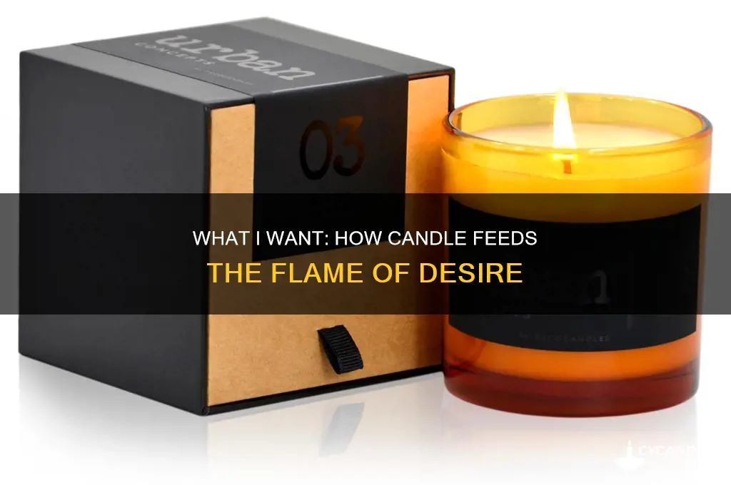 what i want candle feeds the flame