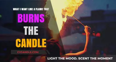 Fierce Desires: The Burning Flame Within That Consumes Like Candlelight