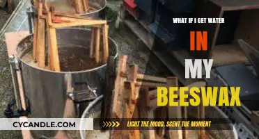 Water in Beeswax: Causes, Effects, and Quick Fixes for Beekeepers