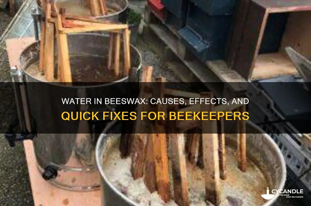 what if i get water in my beeswax