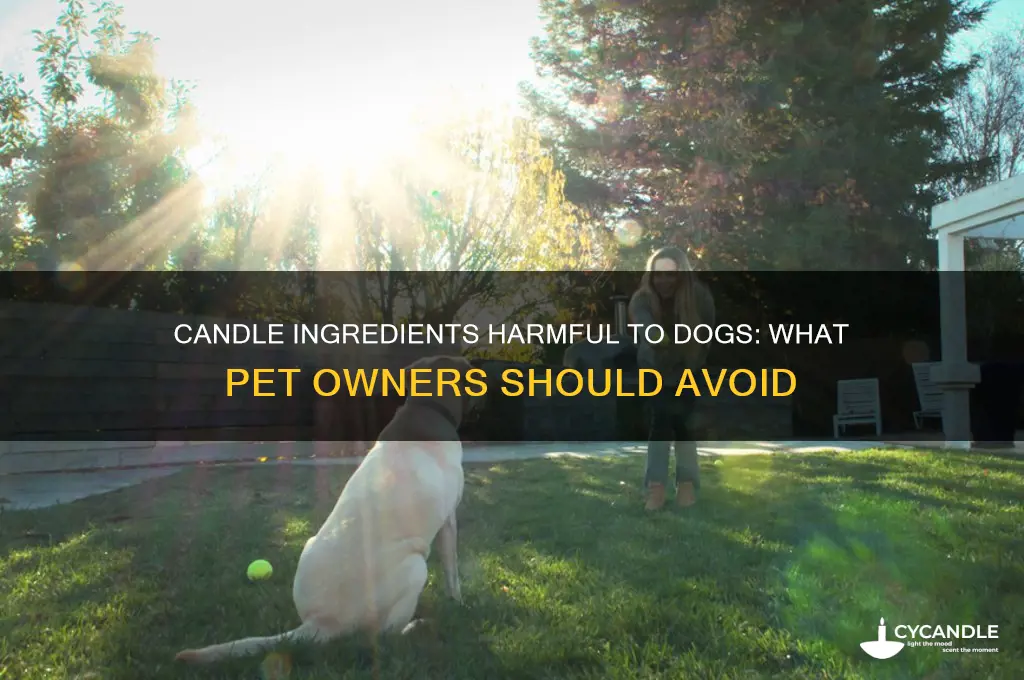 what in candles is bad for dogs