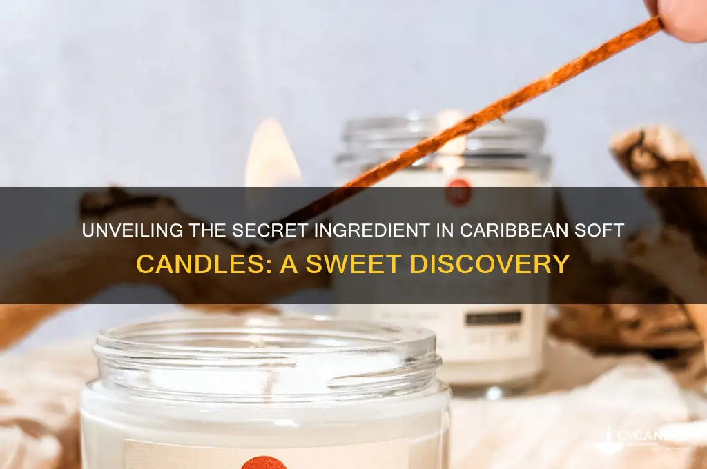 what ingeedient in caribean soft candle