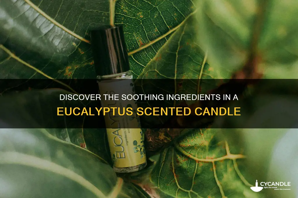 what ingredients are in a eucalyptus candle