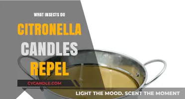 Citronella Candles: Which Pesky Insects Do They Actually Repel?