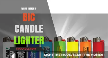 Unveiling the Inner Workings of a Bic Candle Lighter