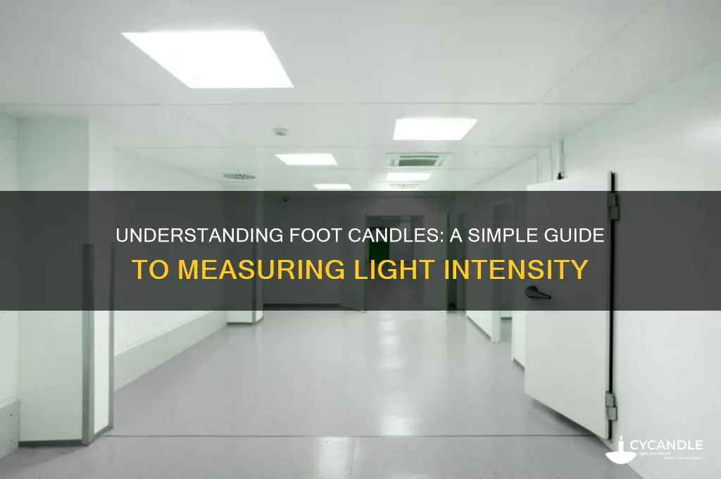 what is 1 foot candle