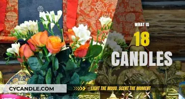 Understanding the Symbolism and Tradition of 18 Candles in Celebrations