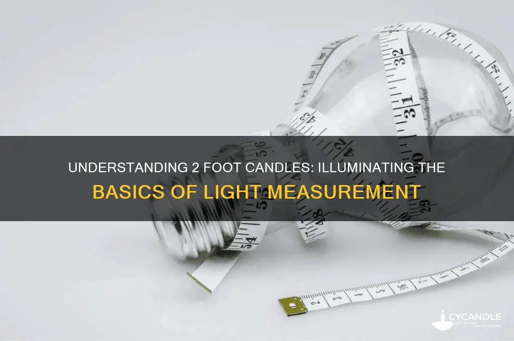 what is 2 foot candle