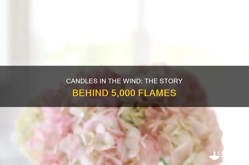 what is 5 000 candles in the wind based on