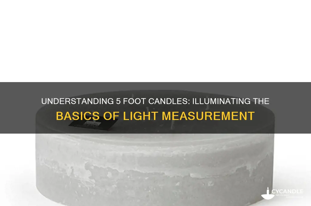 what is 5 foot candles of light