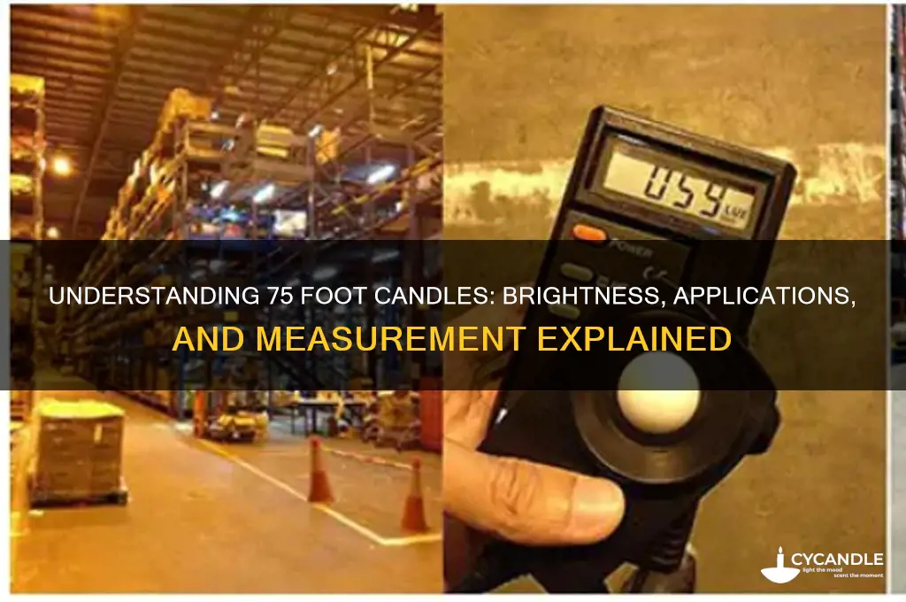 what is 75 foot candles of light
