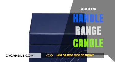 Understanding the 20 Handle Range Candle in Trading Strategies