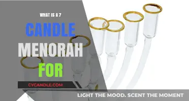 Understanding the Seven-Branched Menorah's Purpose and Significance