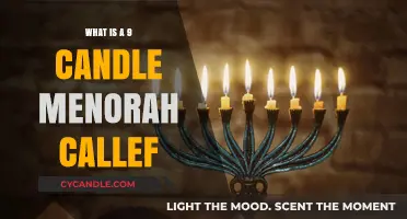 Understanding the Hanukkah Menorah: The Nine-Branched Candle Holder Explained