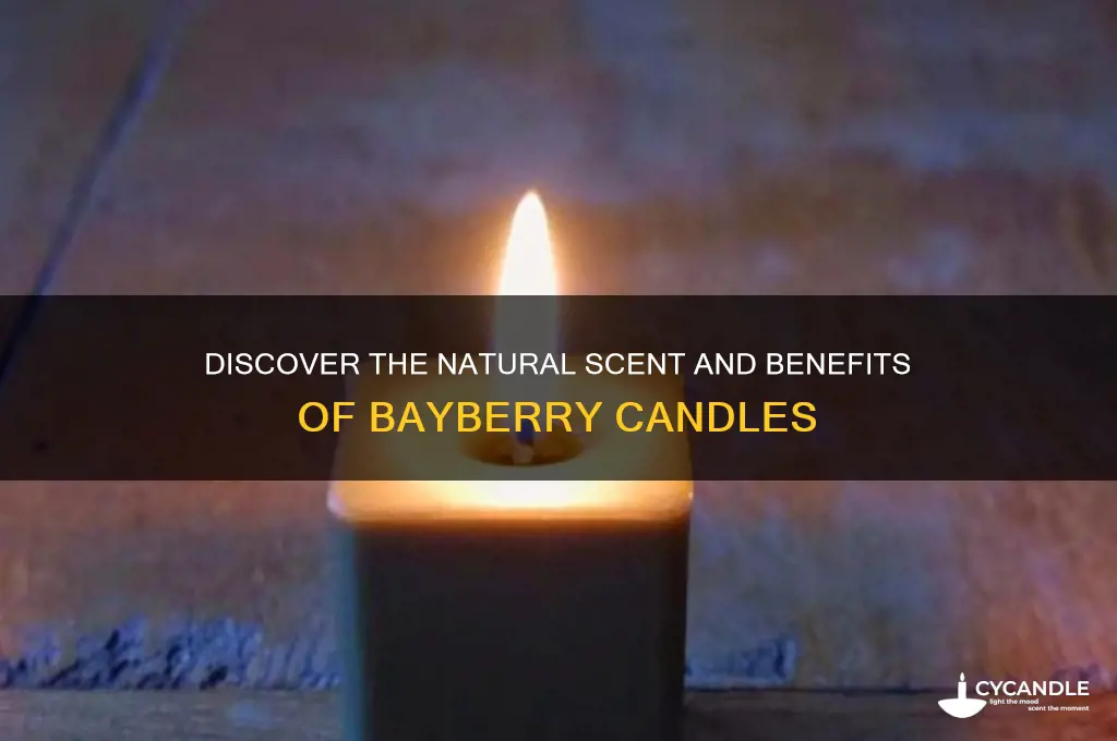 what is a bayberry candle
