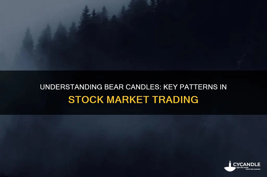 what is a bear candle