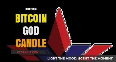 Understanding the Bitcoin God Candle: A Rare Crypto Market Phenomenon