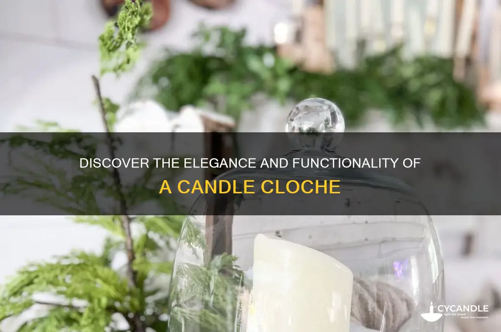 what is a candle cloche