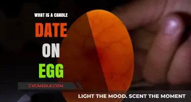 Understanding the Candle Date on Eggs: A Simple Guide
