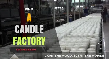 Exploring the Art and Process of a Candle Factory