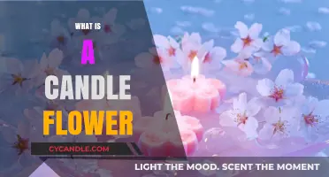 Discover the Unique Beauty and Uses of Candle Flowers