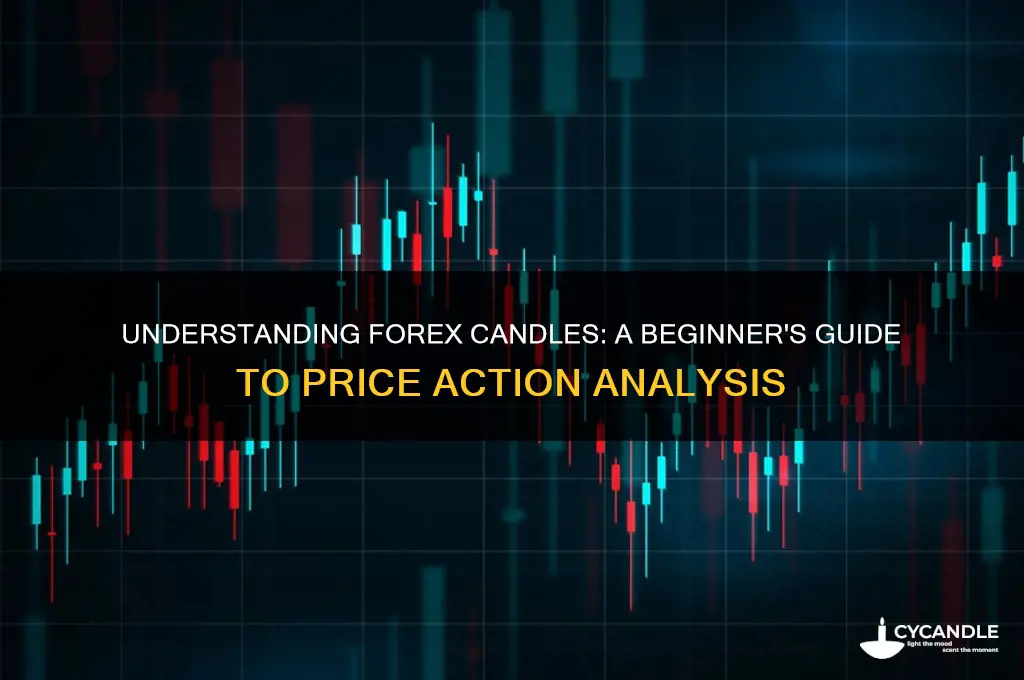 what is a candle in forex