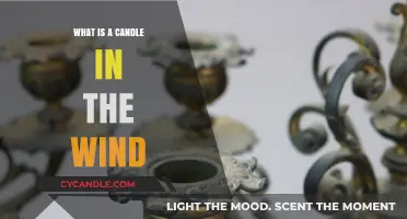 Candle in the Wind: Unraveling the Meaning Behind the Iconic Phrase
