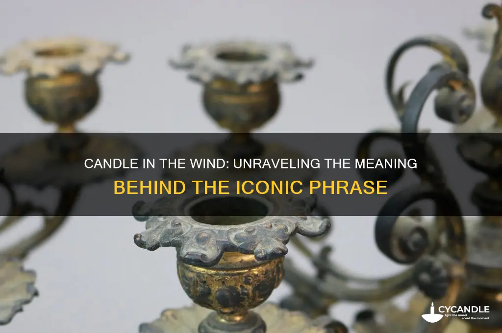 what is a candle in the wind