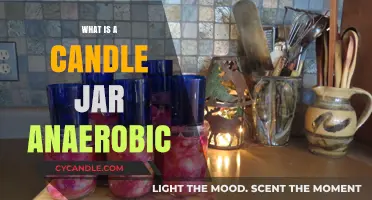 Understanding Candle Jar Anaerobic: A Beginner's Guide to Fermentation