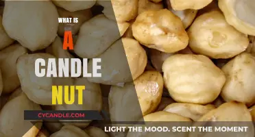 Discover the Candle Nut: Uses, Benefits, and Culinary Secrets Revealed