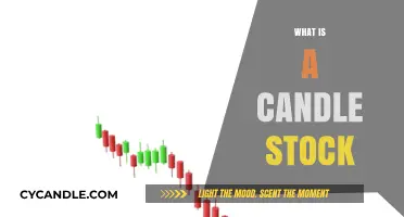 Understanding Candle Stocks: A Beginner's Guide to High-Risk Trading