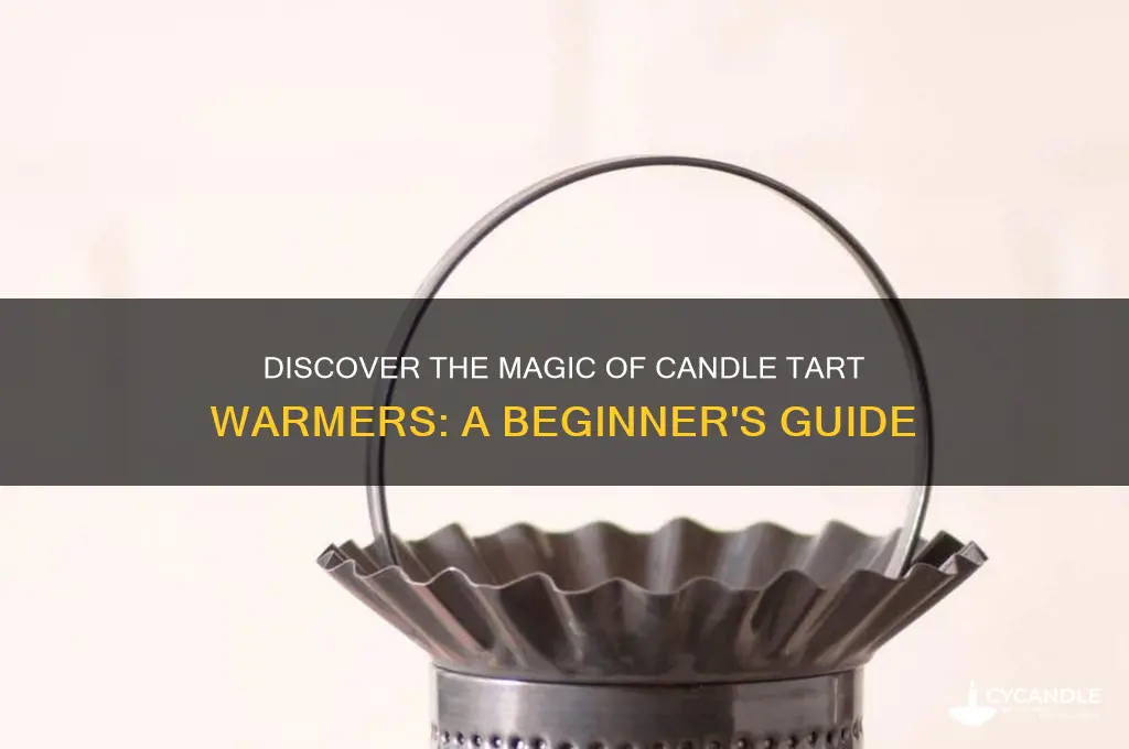 what is a candle tart warmer