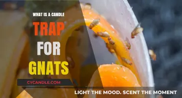 Effective Candle Trap Method to Eliminate Gnats from Your Home