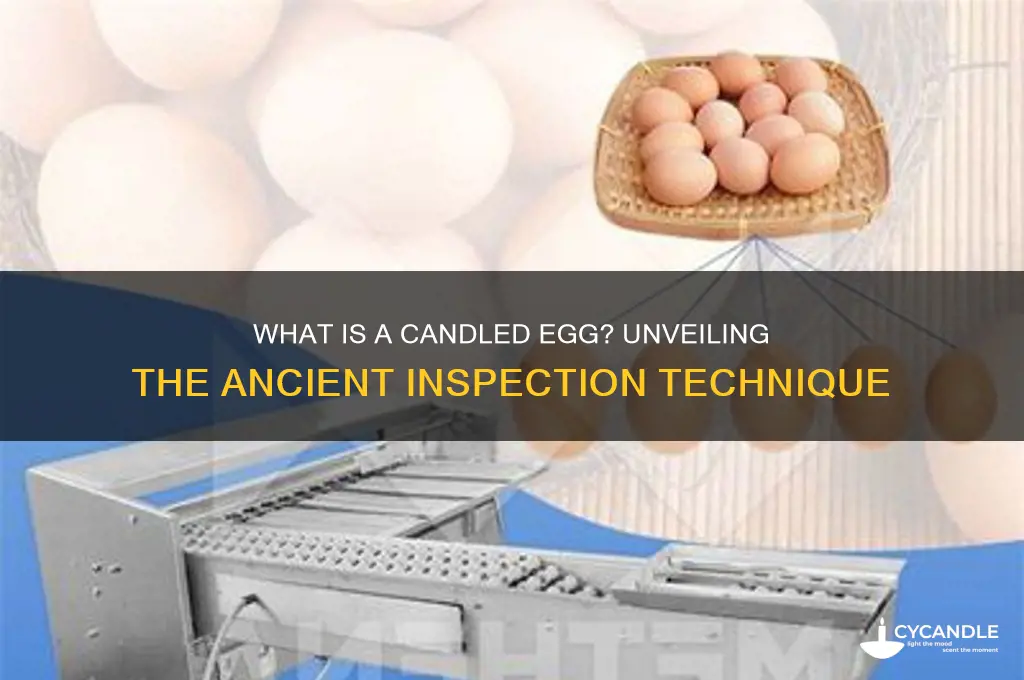 what is a candled egg