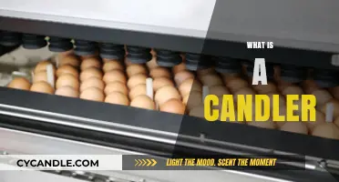 What is a Candler? Unveiling the Role and History of Egg Inspectors