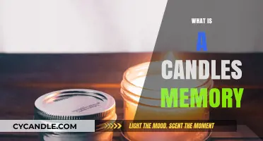 Unveiling the Science Behind a Candle's Memory and Scent Recall