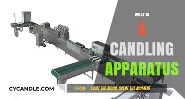 Understanding the Candling Apparatus: Purpose, Function, and Applications