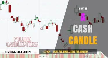 Understanding Cash Candles: A Beginner's Guide to Trading Patterns