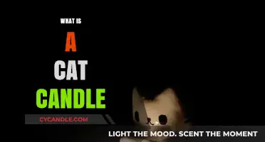 What is a Cat Candle? Unique Aromatic Feline-Inspired Home Decor