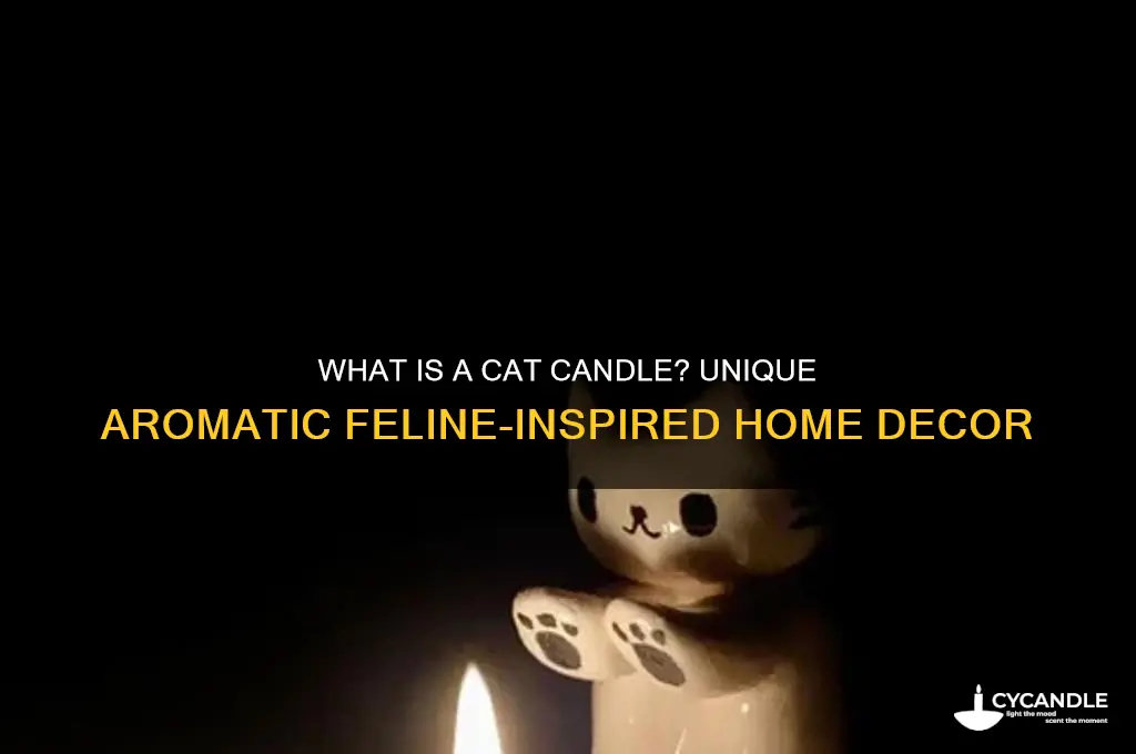 what is a cat candle