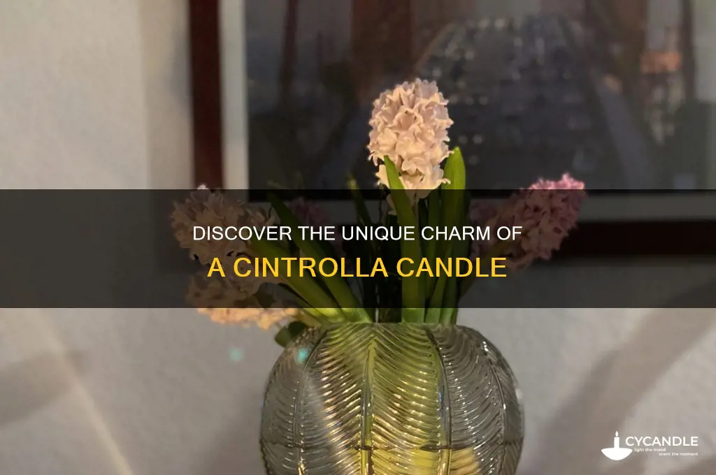 what is a cintrolla candle