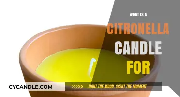 Citronella Candles: Natural Mosquito Repellent for Outdoor Comfort