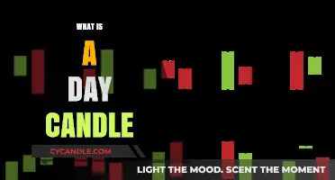 Understanding Day Candles: A Beginner's Guide to Daily Price Charts