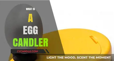 Discover the Purpose and Function of an Egg Candler